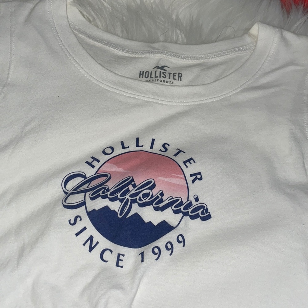 Hollister tank